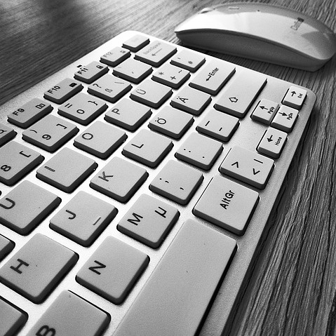 가입 및 영역 설정 이미지