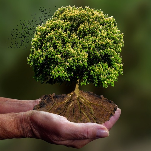 카드 복습 및 통계 확인 이미지